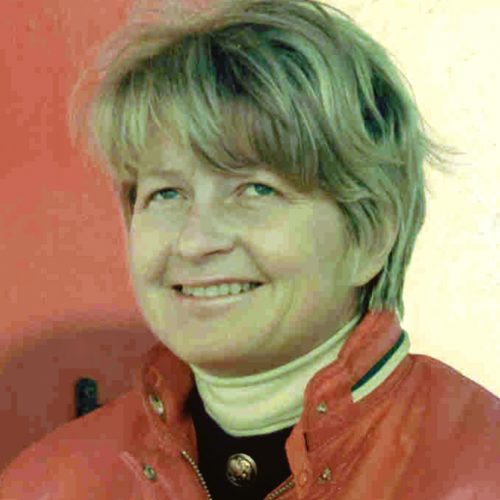 Joan  Goodwin-Wilson Stein*